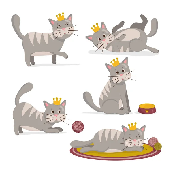 Векторная иллюстрация набора серой кошки с короной в разных позах. Симпатичный персонаж мультяшных котов — стоковый вектор