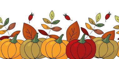 Sonbahar, renkli yapraklar ve beyaz arka planda balkabaklarıyla renksiz sınır. Cadılar Bayramı ya da Şükran Günü için sezonluk tebrik kartı. Vektör illüstrasyonu