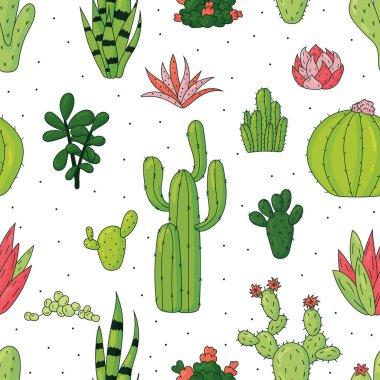 Kusursuz kaktüs deseni. Beyaz arka planda farklı kaktüslerin varyasyonları. El çizimi vektör çizimi. Duvar kağıdı, tekstil, kumaş, ambalaj