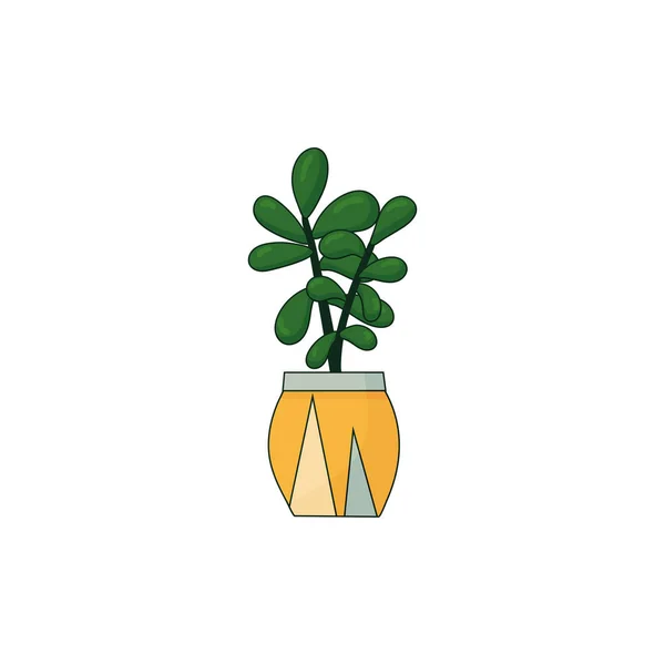 Linda suculenta verde en maceta, ilustración vectorial aislada en blanco. Web o icono de impresión — Vector de stock