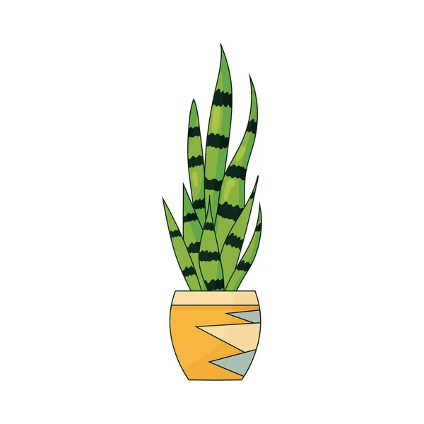 Carino succulento verde in vaso vegetale, illustrazione vettoriale isolata su bianco. Icona Web o di stampa — Vettoriale Stock