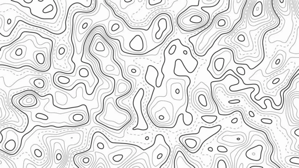 Stylized Height Topographic Contour Lines Contours Concept Conditional Geography Scheme — Stock vektor