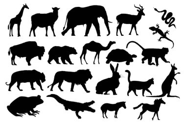 Animal Silhouette Collection. Lion, elephant, bear, crocodile, monkey, cat, horse, frog, bison, snake, dear, zebra, camel, lizard, turtle, kangaroo vector illustration