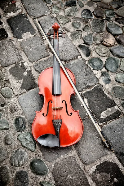 Violino Entre Estrada Pedregosa Las Palmas Gran Canaria Espanha — Fotografia de Stock