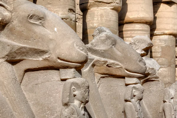 Аллея Баран Голового Сфинкса Храме Амон Египет — стоковое фото