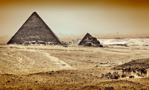 Великая Пирамида Хеопса Каир Египет — стоковое фото