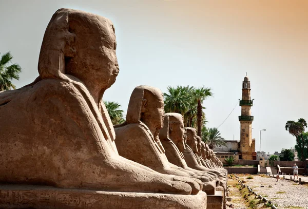 Avenue Sphinxes Karnak Temple Egypten — Stockfoto