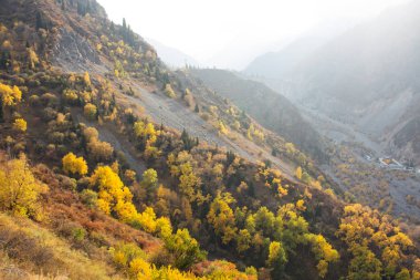 Ağaçlar ve dağlarla dolu güzel sonbahar manzarası