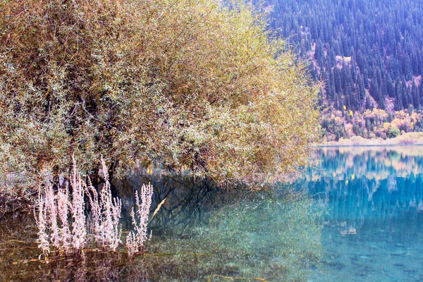 Bellissimo Paesaggio Con Lago Sullo Sfondo — Foto Stock