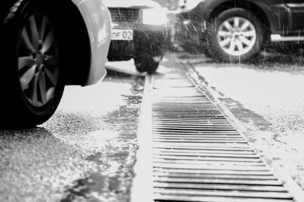 Parking Noir Blanc Dans Parc — Photo