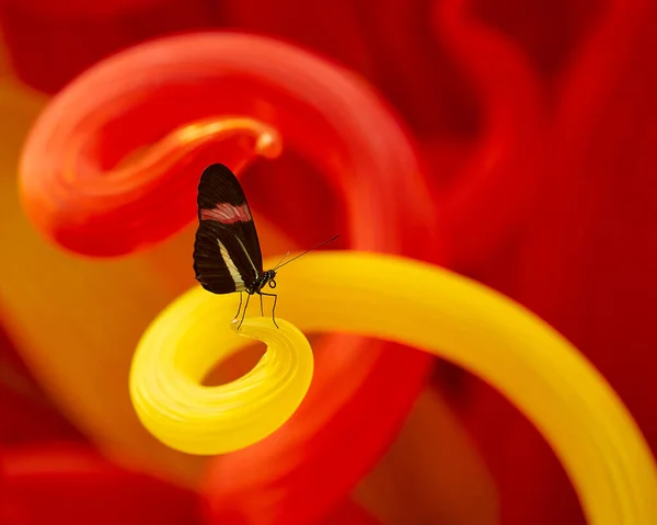 Renkli cam heykellerin üzerinde dinlenen güzel kelebeklerin yakın çekimi..