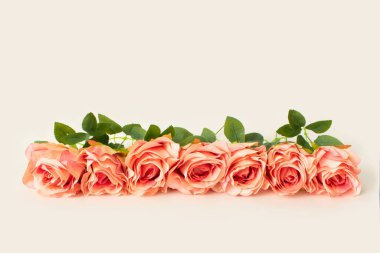 Parlak beyaz arka planda zarif çiçek düzeni. Asgari doğal estetik.