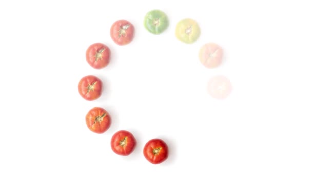 Simple Life Cycle Tomato Fruit Bright White Background Minimal Natural — Vídeo de stock