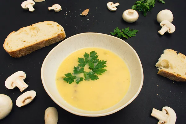 Homemade cream soup with potatoes and mushrooms on dark black background. Stylish food arrangement with parsley, champignon and bread. Creative cuisine.