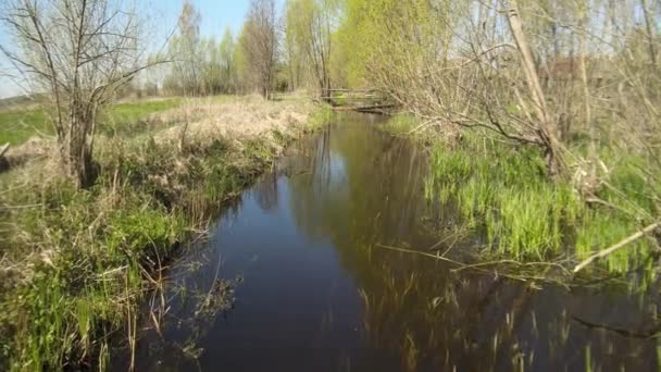 Pequeño Río Cerca Del Pueblo Día Soleado Primavera Paisaje Del — Vídeo de stock