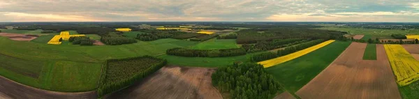 Panorama View Partir Drone Terras Verdes Amarelas Podlasie Yellow Floweringrapeseed — Fotografia de Stock