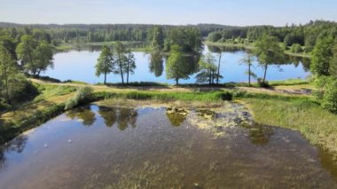 İnsansız hava aracının orman alanlarının üzerindeki manzarası ve yeşil ağaçlar arasında uzanan göl. Gölde küçük bir ada var ve gölün içinden küçük bir nehir akıyor..