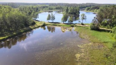 İnsansız hava aracının orman alanlarının üzerindeki manzarası ve yeşil ağaçlar arasında uzanan göl. Gölde küçük bir ada var ve gölün içinden küçük bir nehir akıyor..