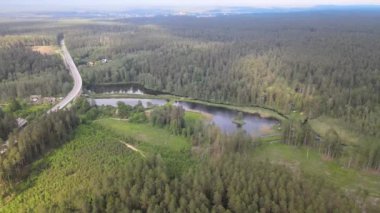 Güneşli bir yaz gününde göl ve ormanların arasında yol ve köprü üzerindeki drone 'dan görüntü.