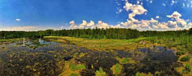 İHA 'dan Wyzary sianozatko' nun durgun sularına