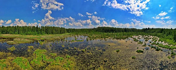 Panorama Drona Rozlewiska Wyzary Sianozatko — Zdjęcie stockowe