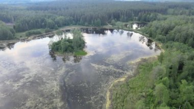 Güneşli bir yaz gününde göller ve ormanlar arasındaki köprü ve yoldaki dron görüntüsü.