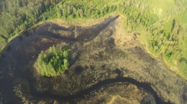 Güneşli bir yaz gününde göller ve ormanlar arasındaki köprü ve yoldaki dron görüntüsü.