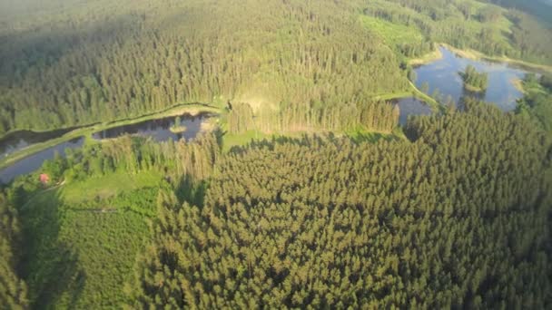 View Drone Road Bridge Lakes Forests Sunny Summer Day — Stock Video