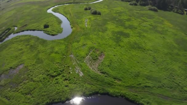 Vista Desde Dron Sobre Río Entre Los Verdes Prados Soleado — Vídeos de Stock