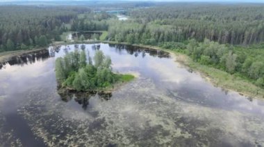 Güneşli bir yaz gününde göl ve ormanların arasında yol ve köprü üzerindeki drone 'dan görüntü.