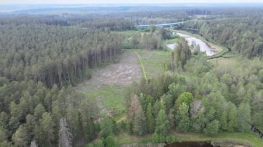 Güneşli bir yaz gününde göl ve ormanların arasında yol ve köprü üzerindeki drone 'dan görüntü.