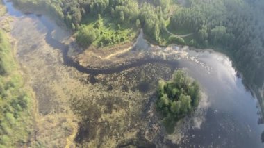 Güneşli bir yaz gününde göl ve ormanların arasında yol ve köprü üzerindeki drone 'dan görüntü.