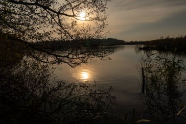 Kolobrzeg 'deki Doğu Ecopark' ta tuzlu bataklıkta gün batımı.