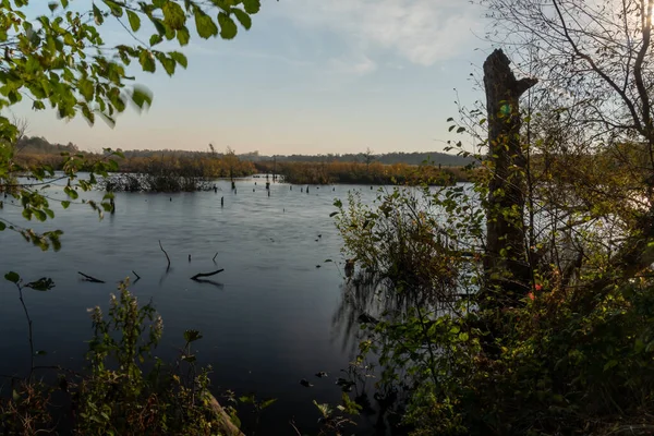 Landscape of the eastern ecopark located in the salt swamp in the municipality of Kolobrzeg.