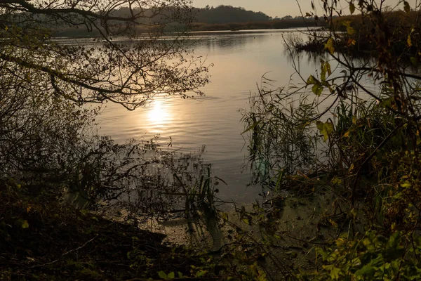 Kolobrzeg 'deki Doğu Ecopark' ta tuzlu bataklıkta gün batımı.