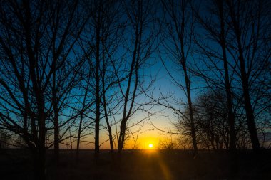 Sunset in the Narew River valley in the Narew National Park.