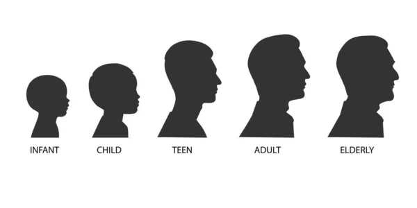 The stages of a man's growing up - infant, child, teen, adult, elderly. Collection of silhouettes of men of different ages. Vector illustration isolated on white background