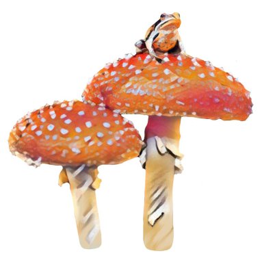 Beyaz arka planda Amanita mantarlı kurbağa.