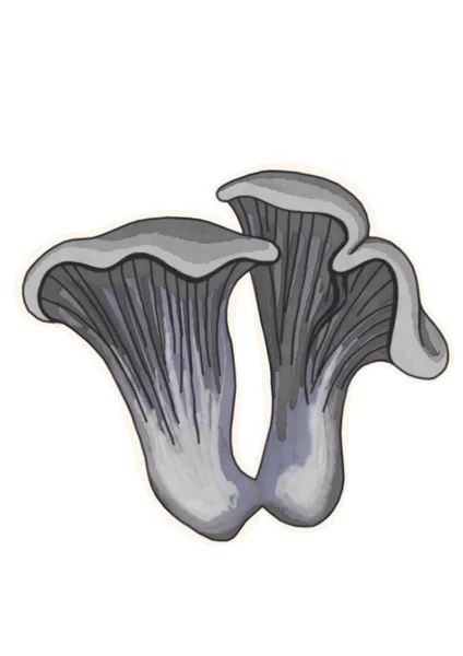 Handzeichnung Pilze Auf Weißem Hintergrund Cliparts — Stockfoto