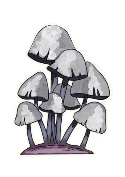 Mano Disegno Funghi Sfondo Bianco Clipart — Foto Stock