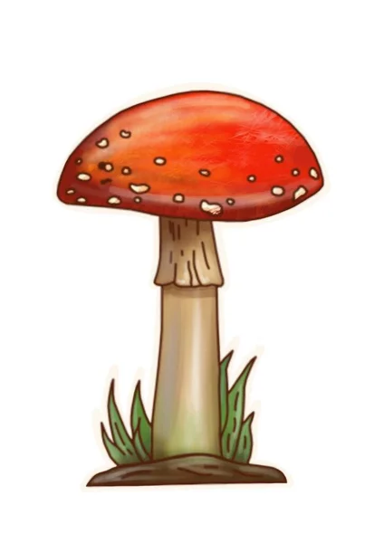 Hand Drawing Mushrooms White Background Clipart — 스톡 사진