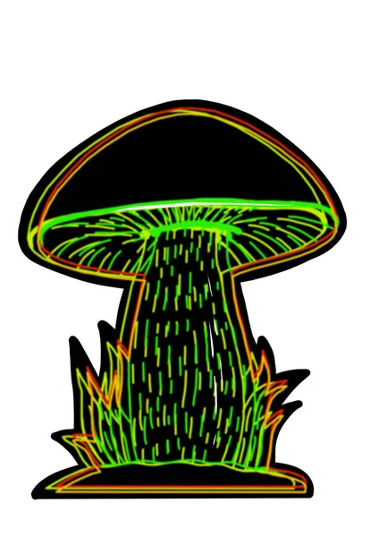 Different Hand Drawing Black Neon Mushrooms White Background Clip Art — ストック写真
