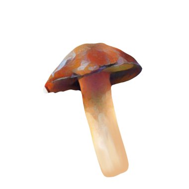 Beyaz arka planda farklı kahverengi mantar başlıkları, Klip sanatı, sanat, El mantarı çizimi.