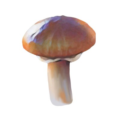 Beyaz arka planda farklı kahverengi mantar başlıkları, Klip sanatı, sanat, El mantarı çizimi.