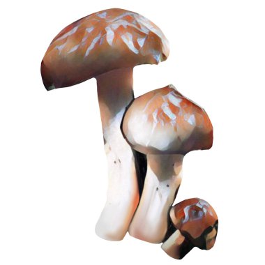 Different tipes of brown mushrooms on white background, Clip-art, art,  Hand drawing mushroom.