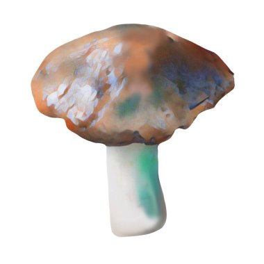 Beyaz arka planda farklı kahverengi mantar başlıkları, Klip sanatı, sanat, El mantarı çizimi.