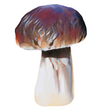 Different tipes of brown mushrooms on white background, Clip-art, art,  Hand drawing mushroom.