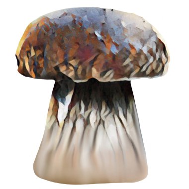 Beyaz arka planda farklı kahverengi mantar başlıkları, Klip sanatı, sanat, El mantarı çizimi.