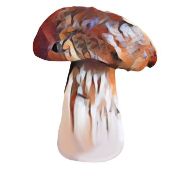 Beyaz arka planda farklı kahverengi mantar başlıkları, Klip sanatı, sanat, El mantarı çizimi.