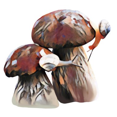 Beyaz arka planda farklı kahverengi mantar başlıkları, Klip sanatı, sanat, El mantarı çizimi.